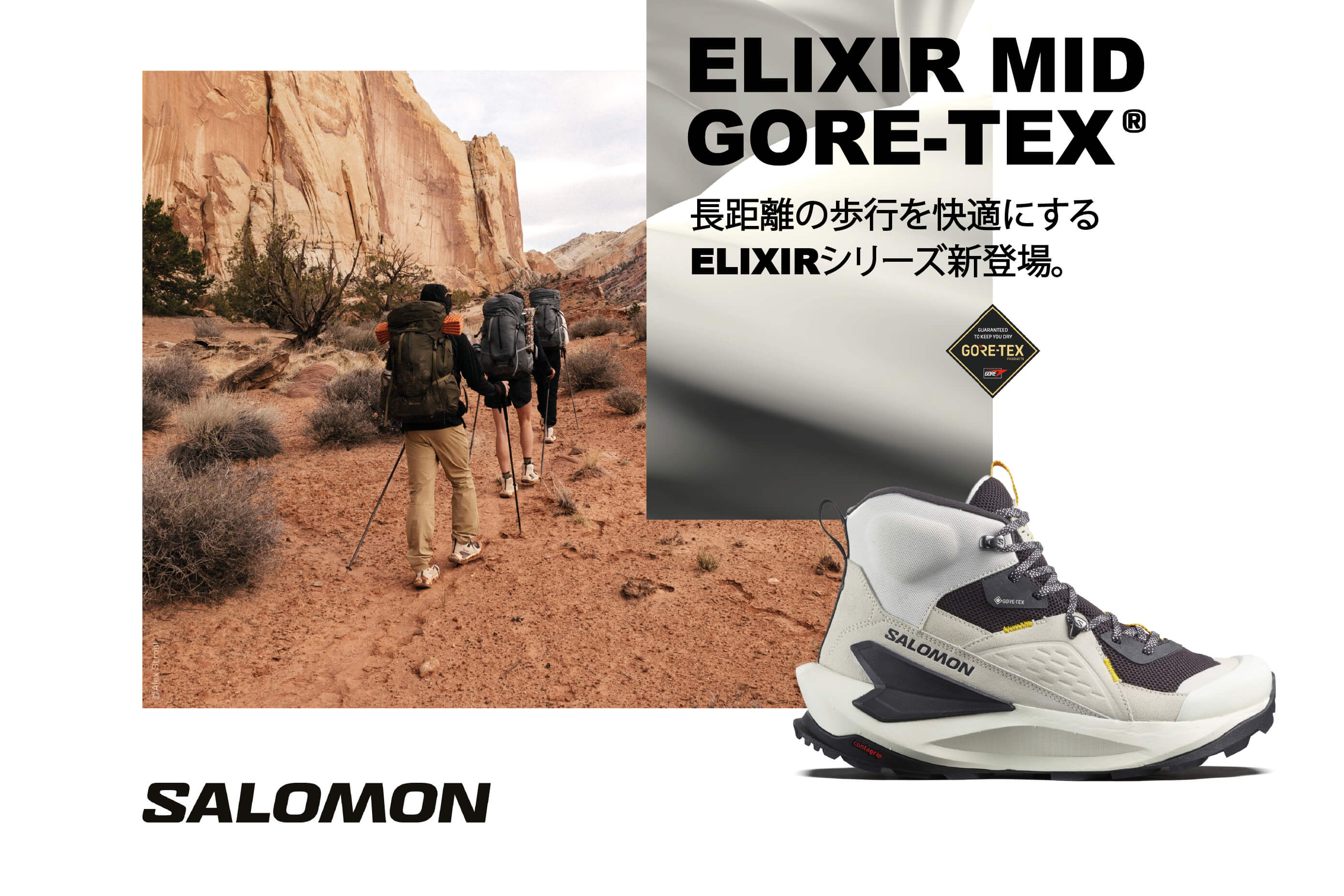 SALOMON 166cm シューズ ウェア 手袋 ゴーグル バックセット